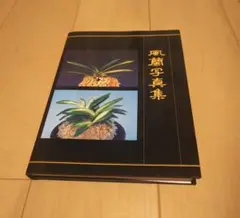 風蘭写真集のサムネイル