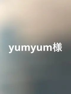 yumyum様専用 激甘！ 粒箱詰め 山梨県産 シャインマスカット