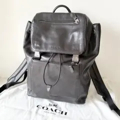 2026年最新】coach マンハッタン バックパックの人気アイテム - メルカリ