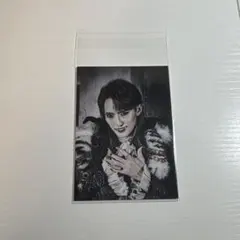 マウピフェス フォトカード ⚠️値下げ中