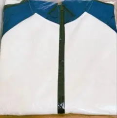 Item thumbnail for item 88888d38-636d-4cfb-bc35-5c627ff8e765