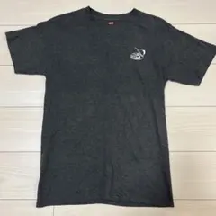 Hanes Tシャツ ROCK ISLAND TOUR PALAUのサムネイル