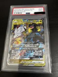 2025年最新】ゼクロム psaの人気アイテム - メルカリ