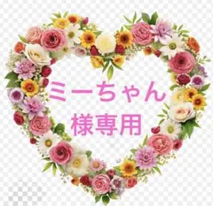 ミーちゃん様専用