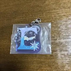 ディズニー アナと雪の女王 エルサ