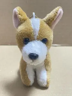 コーギー犬 ぬいぐるみ