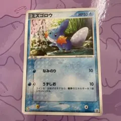 ポケパークのミズゴロウ 048/PCG-P ポケモンカード ポケカ プロモ h2