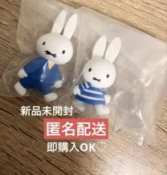 Item thumbnail for item 2a0523a8-bb46-4e0d-8375-31c12d078380