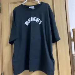ORDINARYFITS オーディナリーフィッツ　半袖　Tシャツ ロゴ　ブラック