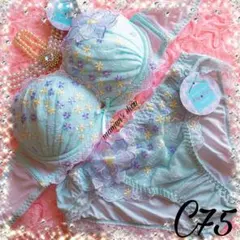 新品♥️C75リリアージュココブラショーツリサマリワコールトリンプ系