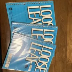 Item thumbnail for item 49fc5737-9a3d-4973-b48d-213a95b79bfe