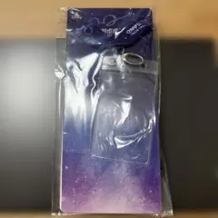 香港ディズニー　年パスカードホルダー