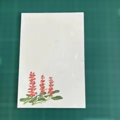 絵はがき 10枚 サルビア ハンドメイド #156 和紙ハガキ