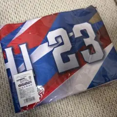 横浜Fマリノス　タオルマフラー