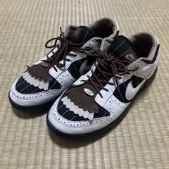 ナイキ　ダンク　LOW LX　ウィメンズ　29cm