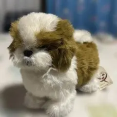 2025年最新】シーズー ぬいぐるみの人気アイテム - メルカリ