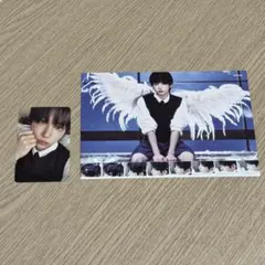 &team harua アイドル