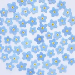 みつろう様 リクエスト 2点 まとめ商品