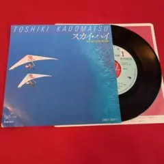角松敏生／スカイハイ ／LONELY GOOFEY（廃盤・7インチ盤） 中古J-POP/レコード】角松敏生の7インチシングルが各種入荷いたしまし