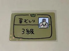 ちいかわ コレクションカードグミ 草むしり検定 3級 ホログラム うさぎのサムネイル