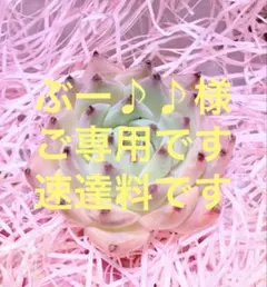 速達料のサムネイル