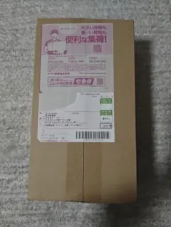 【新品未開封】ポケモンセンター ヒロシマ スペシャルBOX