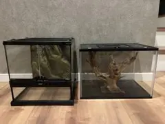 Item thumbnail for item 84d25d82-d132-49b0-b105-1a8d7220f1e3