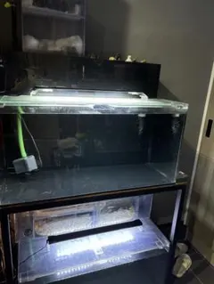 2026年最新】ぷぅ工房の人気アイテム - メルカリ