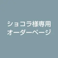 ショコラ様専用☆【約4㎝トレー付】おしること抹茶おしるこ2個セット☆ハンドメイド