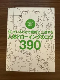 人体ドローイングのコツ390