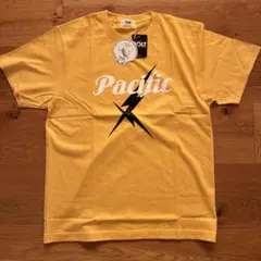 Item thumbnail for item 62d99591-d577-4a55-891b-03f7cc146bf9