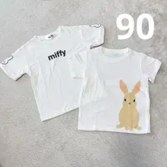 Item thumbnail for item 252e7dc1-1b12-49a2-a148-bc04f2b23c50