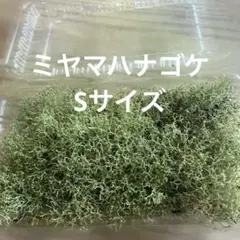 Milan2894様 リクエスト 2点 まとめ商品