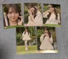 【匿名配送】イコラブ 大谷映美里 恋はじ 封入 生写真 ABCDE 5種 コンプ