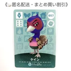 【匿名配送】amiibo ケイン あつまれどうぶつの森
