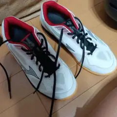 バドミントンシューズ ホワイト/レッド