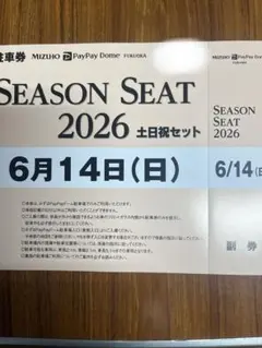 2026年最新】Paypayドーム 駐車券 6月の人気アイテム - メルカリ