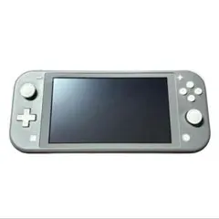 Switch Lite 本体　SDカード32GB 純正充電器