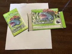 ポケットモンスター　ソフト リーフグリーン 説明書＆空箱