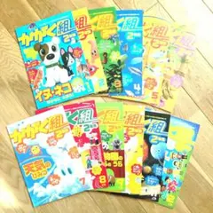 2026年最新】かがく組 チャレンジ 3年生の人気アイテム - メルカリ