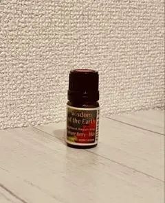 GW値下げ‼️新品✨Wisdom of the Earth バジル（ホーリー) - メルカリ