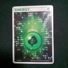 ポケモンカード 草エネルギーカード キラ