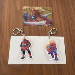 ヴァンパイアハンター　アクリルキーホルダー　14種セット 2025年最新】ヴァンパイアハンター キーホルダーの人気アイテム