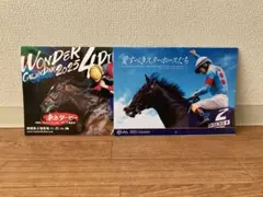 ☆2冊セット☆ JRA・南関東4競馬場 2025年壁掛けカレンダー
