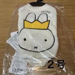 Item thumbnail for item 652c72c9-7664-41e9-a759-536a0a9aa64e