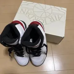 Air Jordan 2 RETRO シカゴ