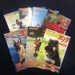 2026年最新】宇野正美の人気アイテム - メルカリ