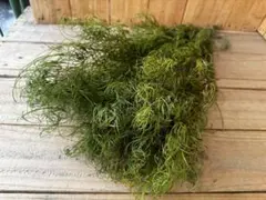 ぽこぽこ様 リクエスト 2点 まとめ商品