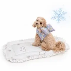 犬 猫 ひんやり 冷感 ペットマット クッション クマ柄 フリル 夏用 Sのサムネイル