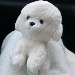 さみしがりやのビションフリーゼ しっぽぶんぶん おすわり ぬいぐるみ プライズ